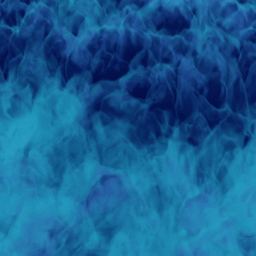 Wellig 111 - BLAUES BLUT NFT